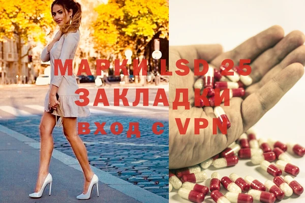 тгк Козловка