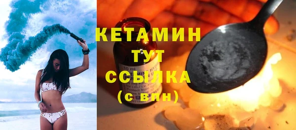 стаф Корсаков
