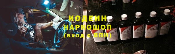 стаф Корсаков