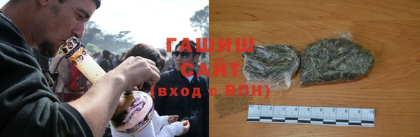 стаф Корсаков