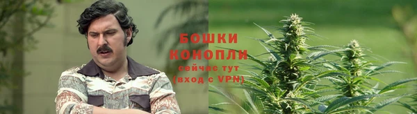 стаф Корсаков