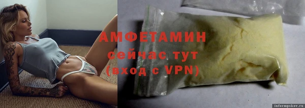 стаф Корсаков