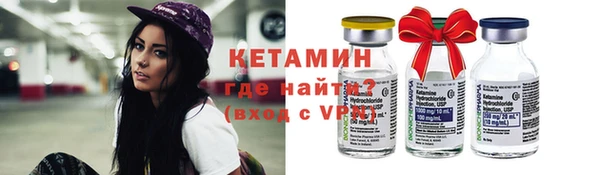 стаф Корсаков