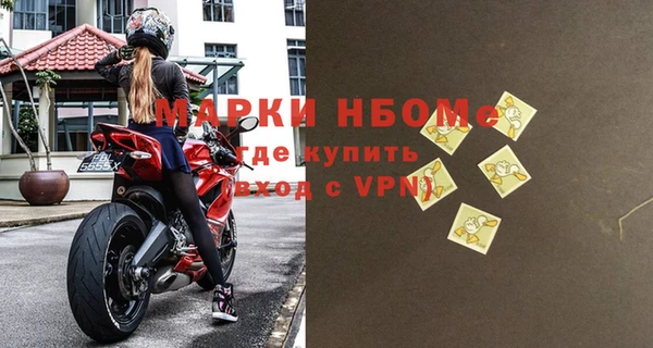 стаф Корсаков