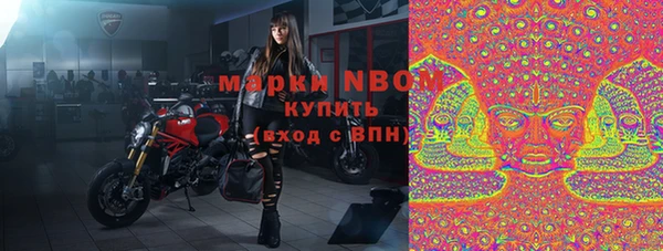 стаф Корсаков