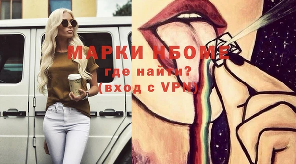 стаф Корсаков