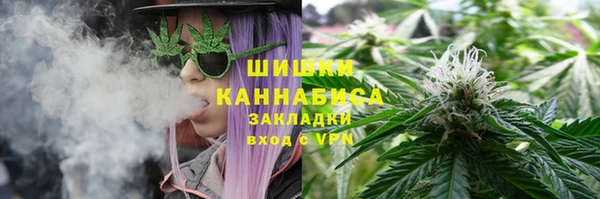 spice Костерёво