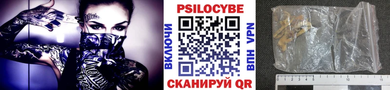 купить  цена  Будённовск  Галлюциногенные грибы Magic Shrooms 